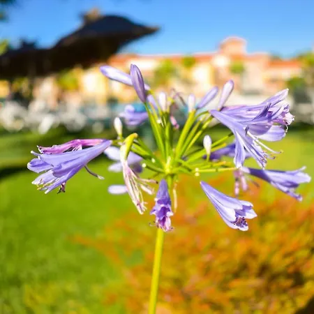 Disfrute De Playas Y El Golf En Nuestro Adosado En Islantilla - Costa De La Luz بيت للعطل ليبي